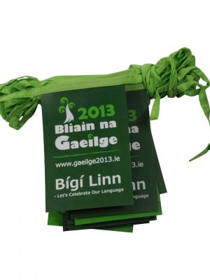 Pvc pennant banner for gaeilge 2013