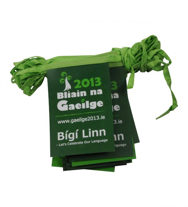 Pvc pennant banner for gaeilge 2013